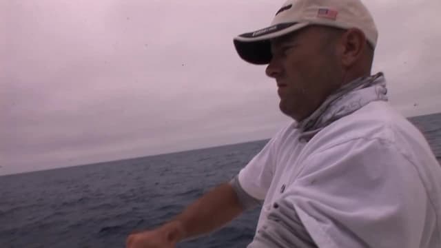 Watch Inside Sportfishing S03 E08 Calico Craze At Free TV Shows Tubi