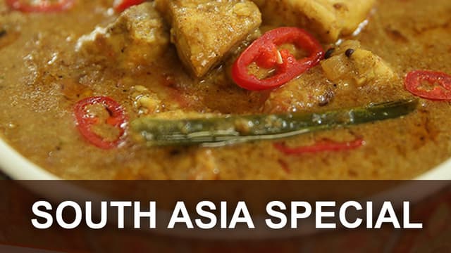 S01:E15 - South Asia Special