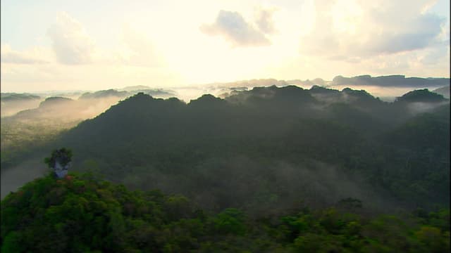 S03:E08 - Belize - Jungle and Coral