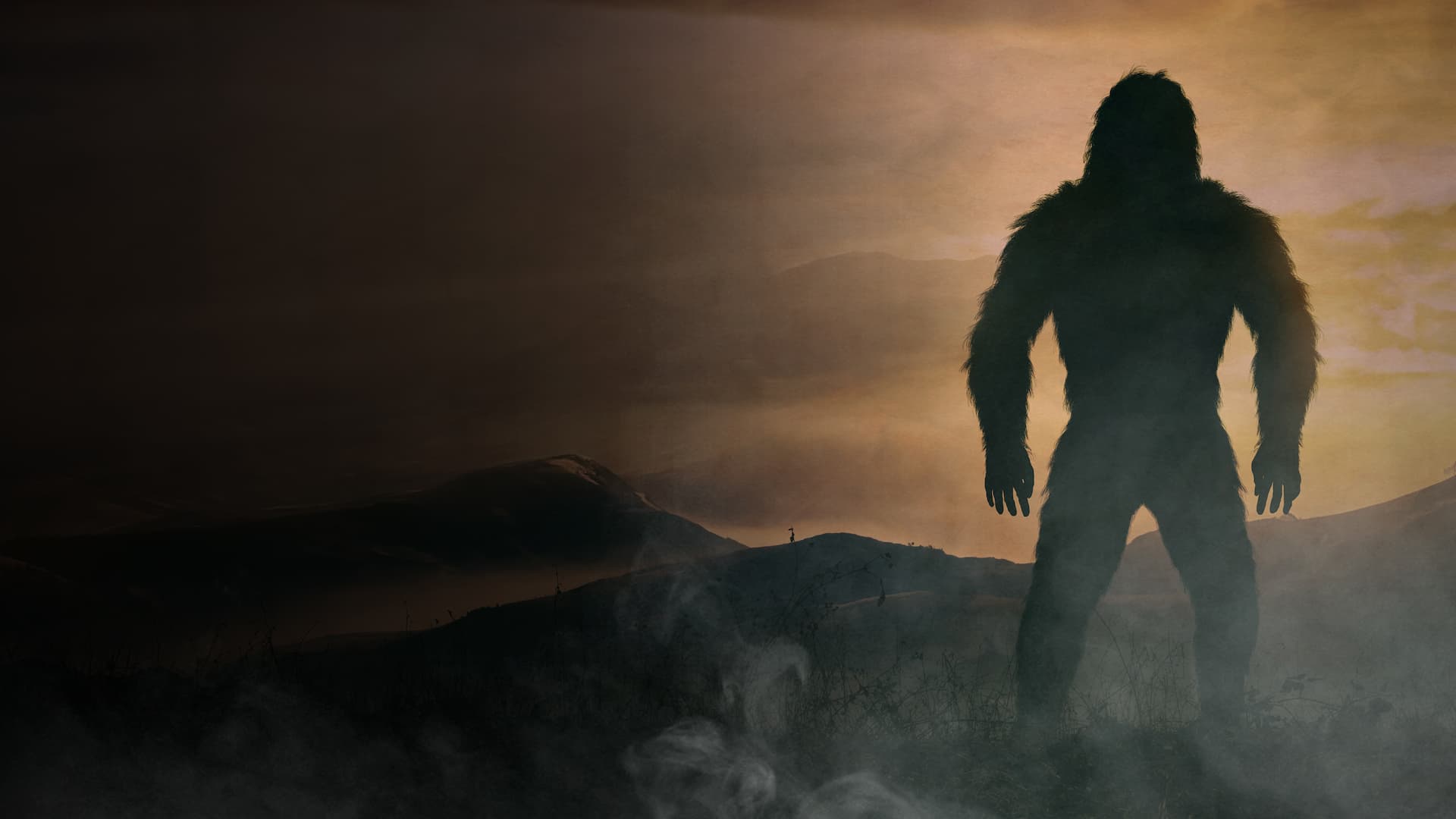 poster background