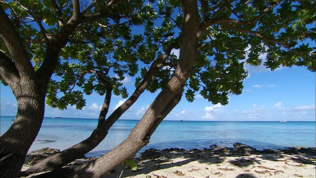 S01:E10 - French Polynesia - Blue Lagoon
