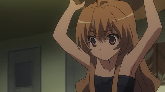 Watch Toradora! Episode 1 Online - Tiger and Dragon