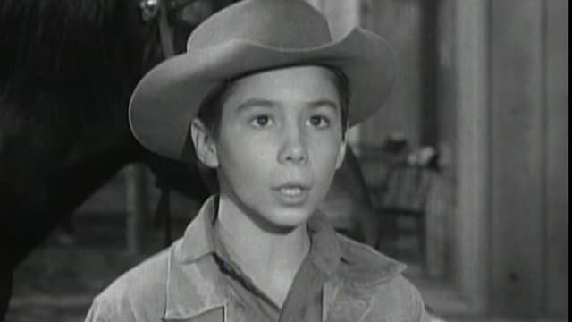 Watch The Rifleman S02:E24 - A Time for Singing - Free TV Shows | Tubi