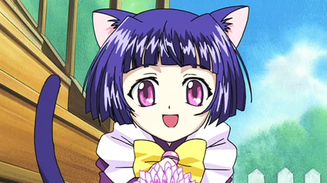 Watch Magical Meow Meow TARUTO (Dubbed) S01:E08 - Secrets, S Free TV | Tubi