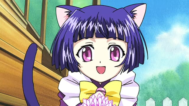 Magical Meow Meow Taruto - Wikipedia