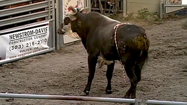 S01:E02 - Mile-Hi Bull Riders' Showdown