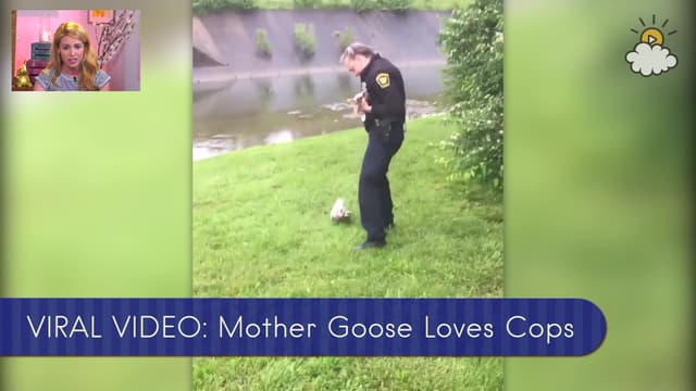 S01:E85 - Mother Goose Loves Police Department