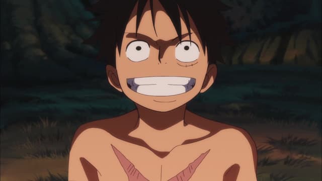 Watch One Piece 3d2y 14 Free Movies Tubi