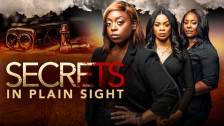 Watch Secrets In Plain Sight - Free Tv Shows 