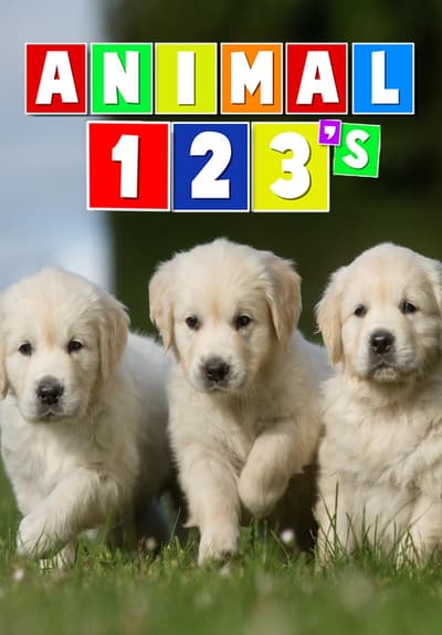 Watch Animal 123's (2012) - Free Movies | Tubi