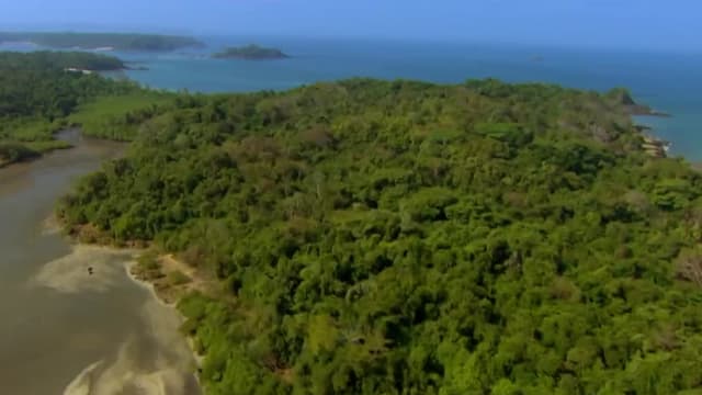 S01:E06 - Episode 6 - Surviving the Island