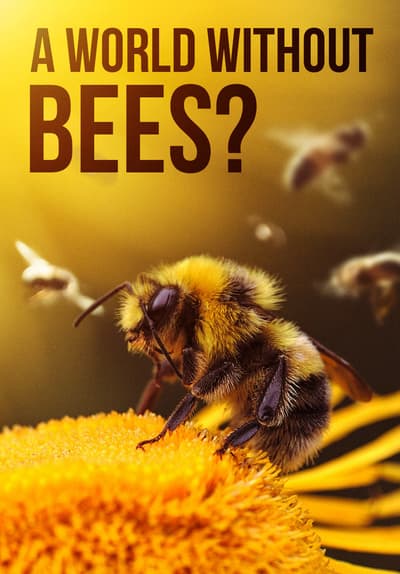 Watch A World Without Bees? (2021) - Free Movies | Tubi