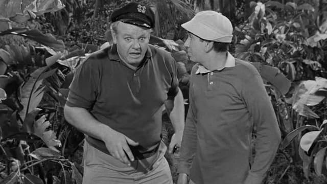 Watch Gilligan's Island S01:E22 - Diamonds Are an Ap - Free TV Shows | Tubi