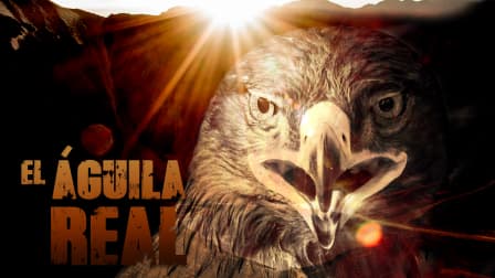 Watch El Águila Real (1994) - Free Movies | Tubi