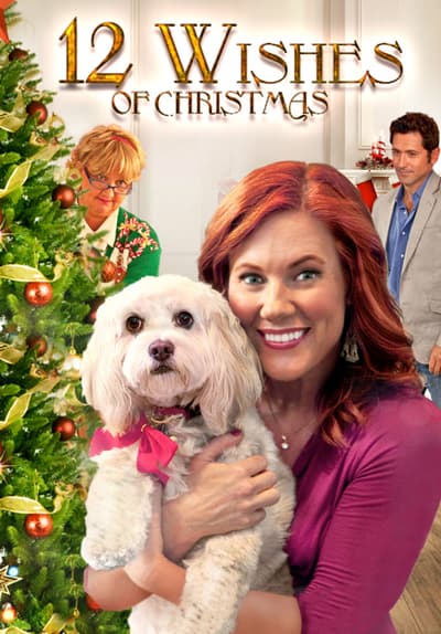 Watch 12 Wishes of Christmas (2011) - Free Movies | Tubi