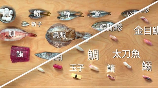 S01:E07 - How to Make 12 Types of Sushi With 11 Different Fish