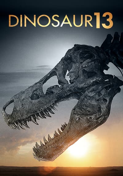 dinosaur 13 netflix