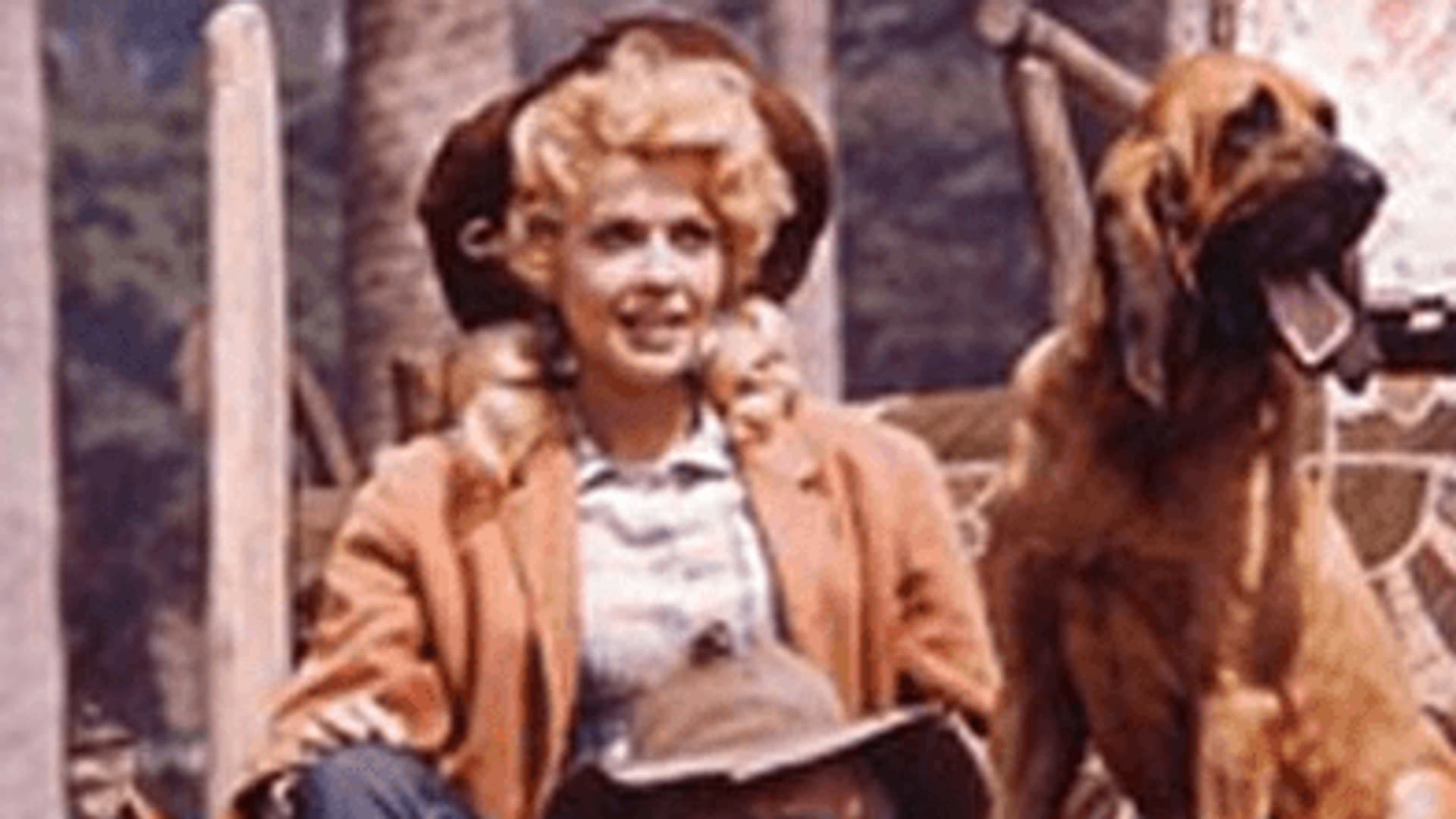 Watch The Beverly Hillbillies S01:E05 - The Clampett - Free TV Shows | Tubi