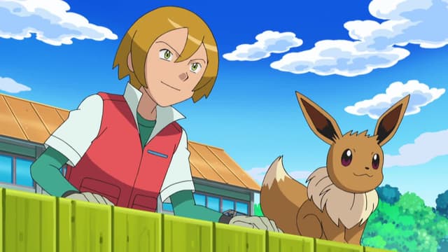 Pokemon Season 16 Black & White: Adventures in Unova - Watch