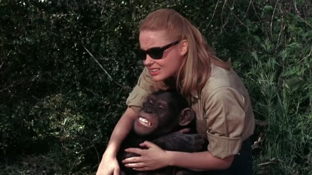 S03:E02 - Judy and the Astro-Chimp