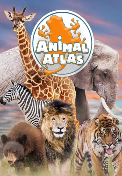 3D Animal Atlas