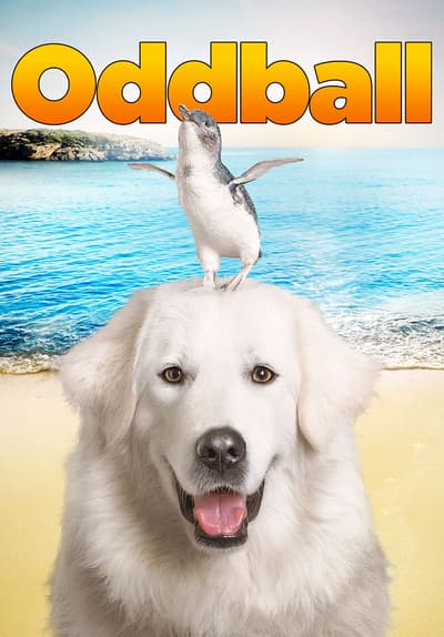 Watch Oddball (2015) Full Movie Free Online Streaming | Tubi