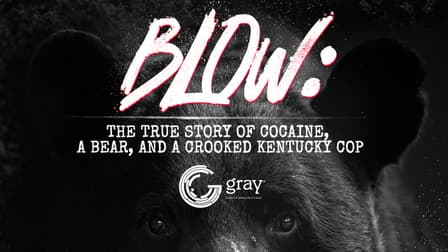 Cocaine: A brief history of blow