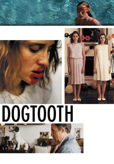 watch dogtooth