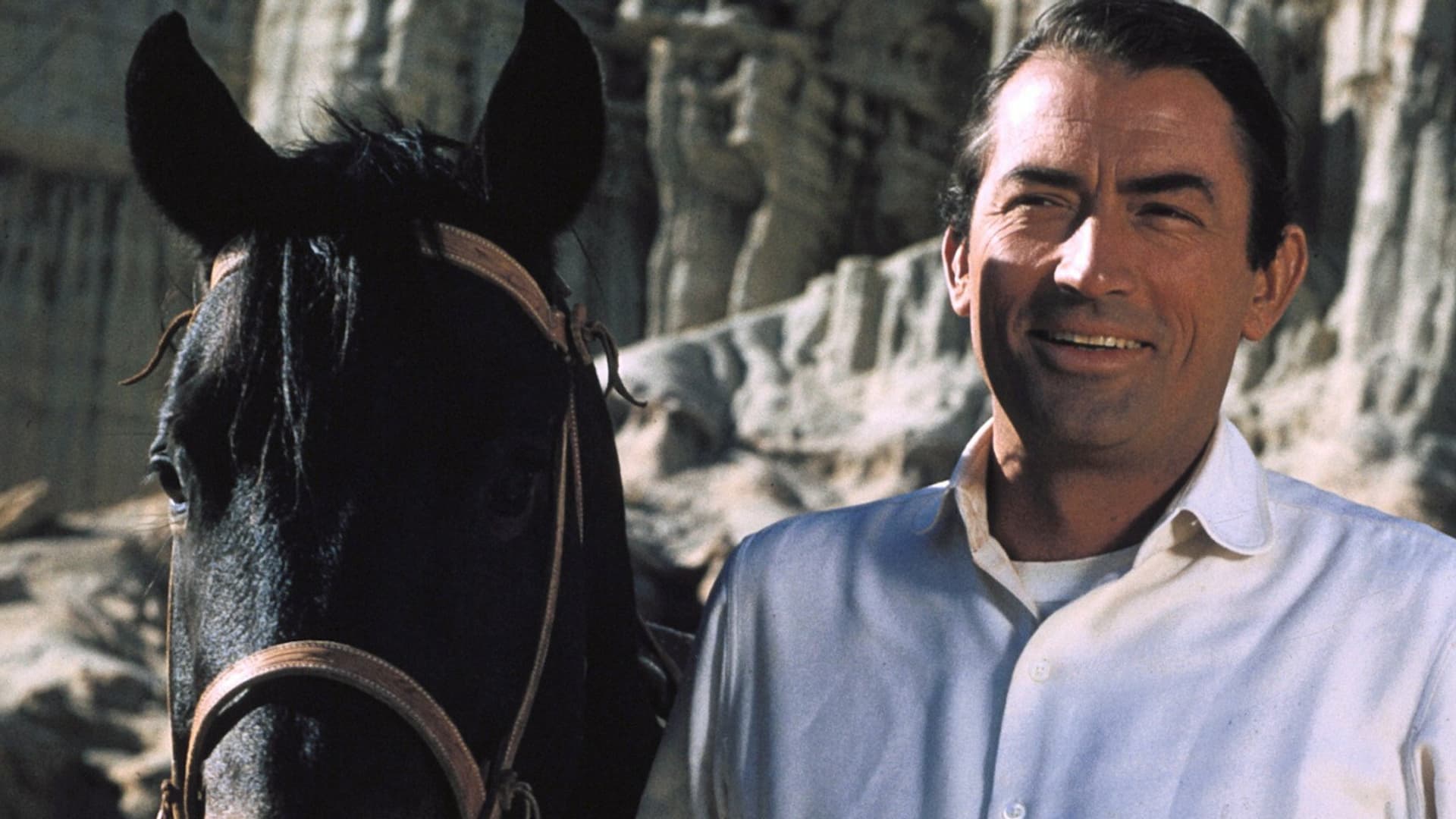 Watch The Big Country 1958 Free Movies Tubi