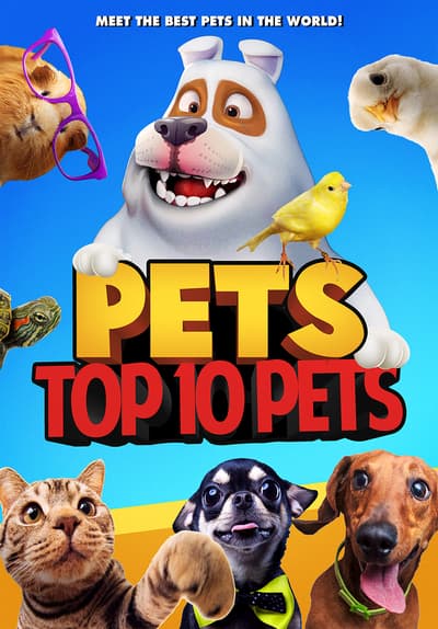 Watch Pets: Top 10 Pets (2021) - Free Movies 