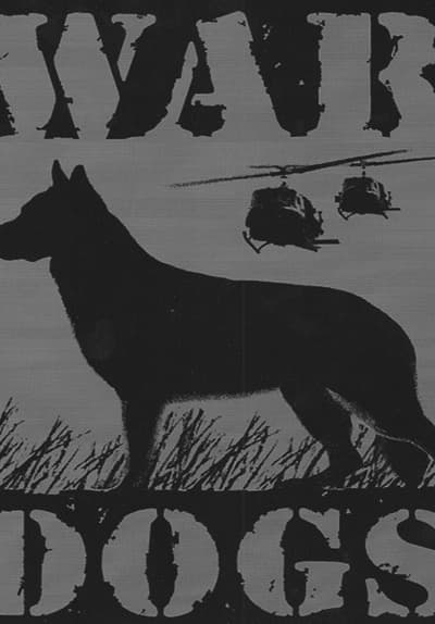 war dogs full movie online free stream