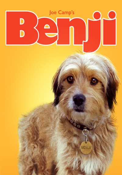 Watch Benji (1974) - Free Movies | Tubi