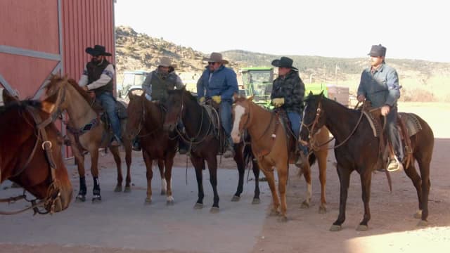 Watch Ultimate Cowboy Showdown Season 3, Episode 6: Boiling Point on the  Ranch