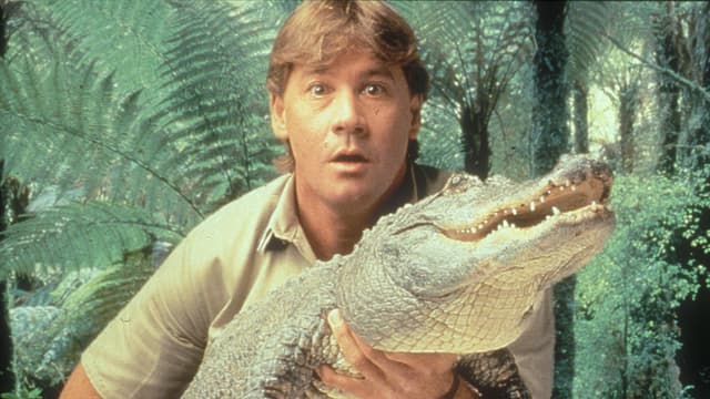 Watch Autopsy: The Last Hours of... S06:E18 - Steve Irwin - Free TV ...