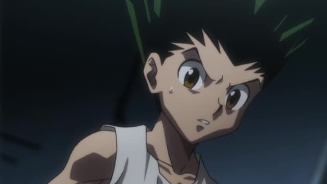 Watch Hunter X Hunter (english Dubbed) S03:e116 - Revenge X Free Tv 