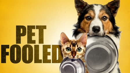 Pet fooled cheap free online