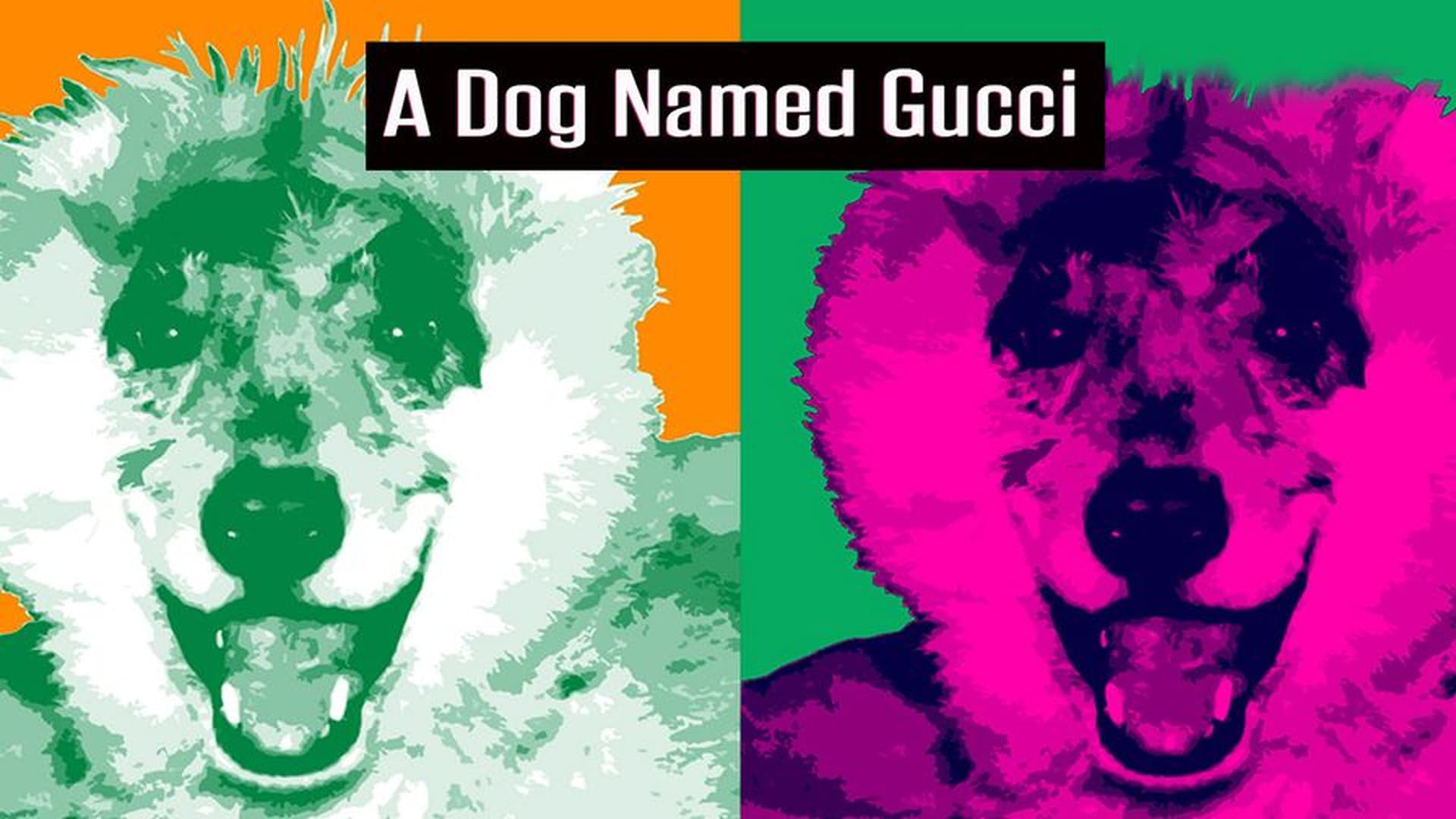 A Dog Named Gucci