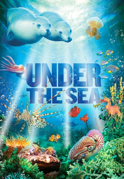 Watch Under the Sea (2009) - Free Movies | Tubi