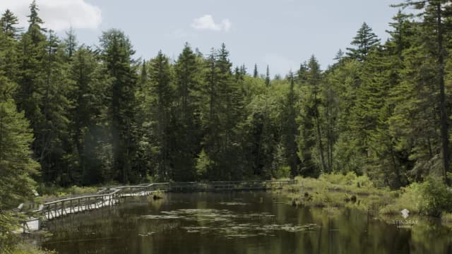 S03:E09 - Best of Inspiring Forest Trail, Quebec