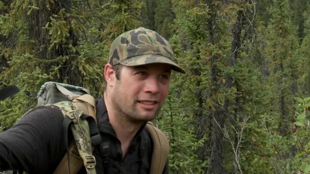 Watch MeatEater S02:E11 - The Greatest Draw: Alaska - Free TV Shows | Tubi