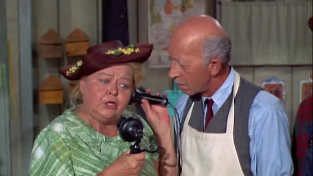 Watch Green Acres S02:E10 - You Ought to Be in Pictu - Free TV Shows | Tubi