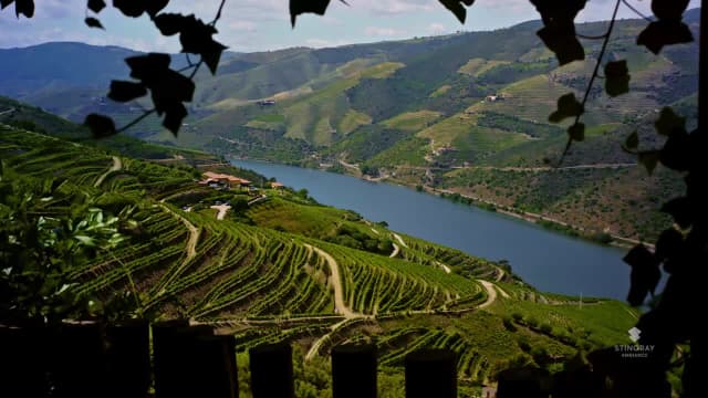 S03:E13 - Douro Valley, Portugal