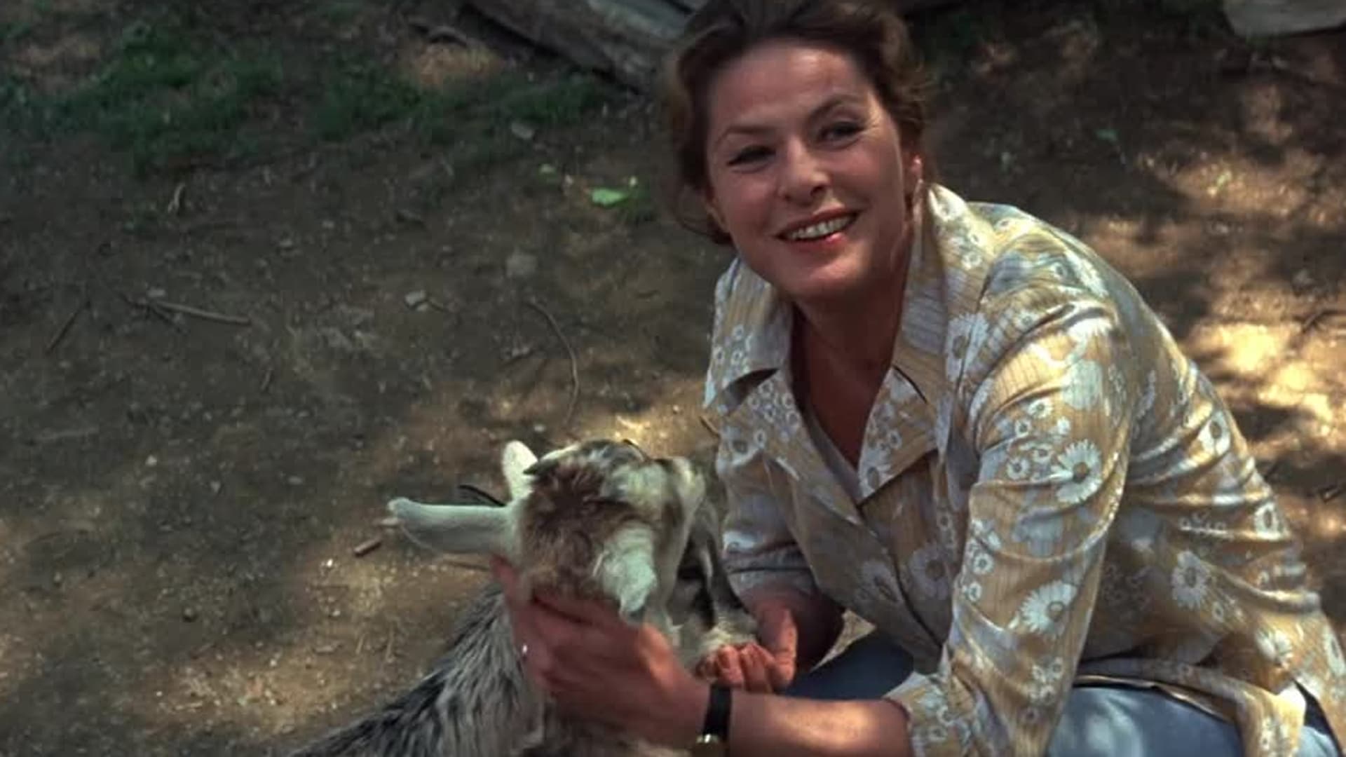 Watch A Walk in the Spring Rain (1970) - Free Movies | Tubi