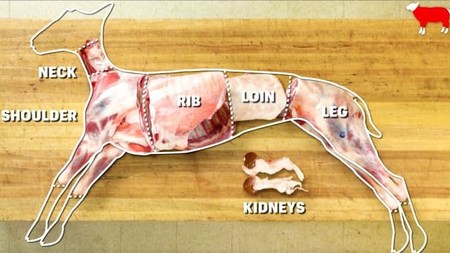 S01:E03 - How to Butcher an Entire Lamb: Every Cut of Meat Explained