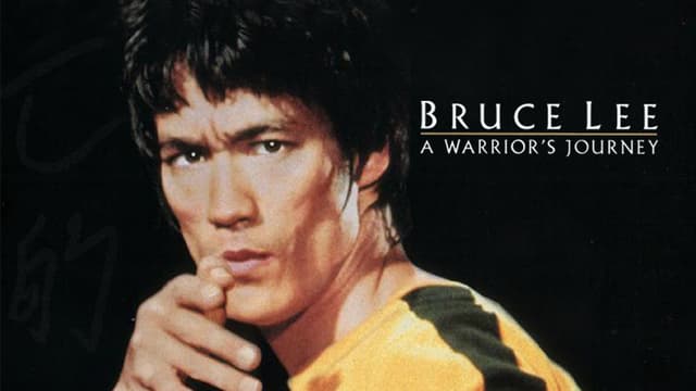 Bruce lee a sales warrior's journey full movie