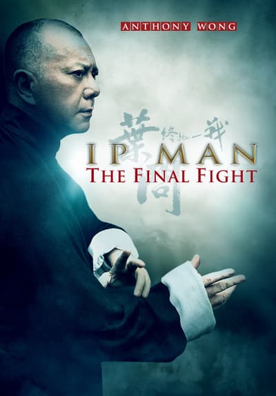 watch ip man 2 english dubbed online free