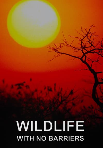 Watch Wildlife With No Barriers 2010 Free Movies Tubi