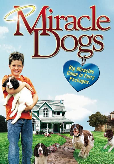 Watch Miracle Dogs (2003) - Free Movies | Tubi