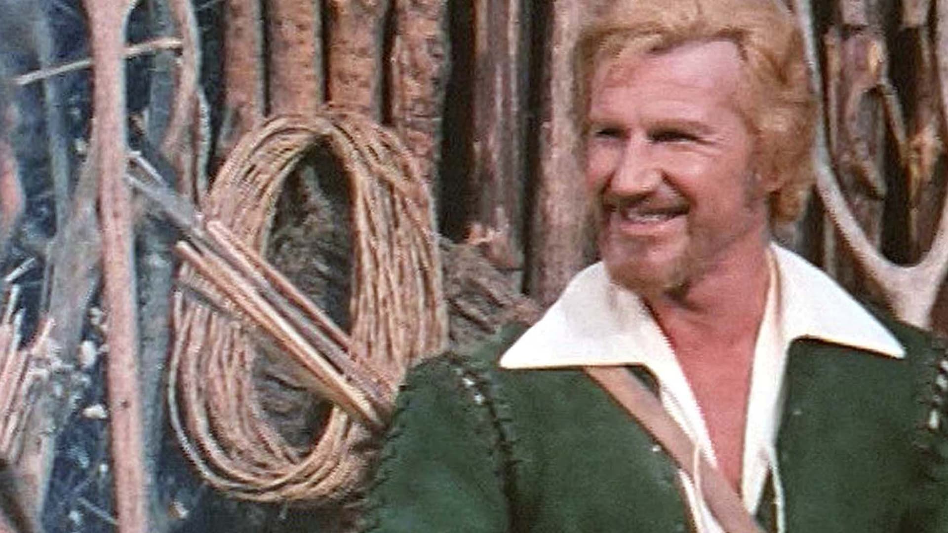 Watch Robin Hood, Arrows, Beans & Karate (1976) Free Movies Tubi