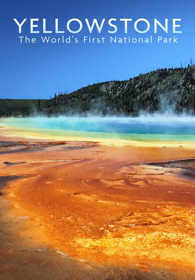 Watch Yellowstone: The World's First National Park - Free Movies | Tubi